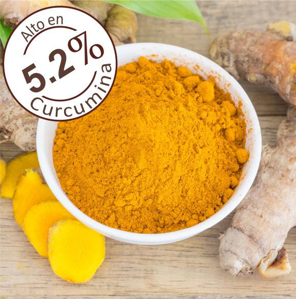 CÚRCUMA MOLIDA 200 grs - BIOV