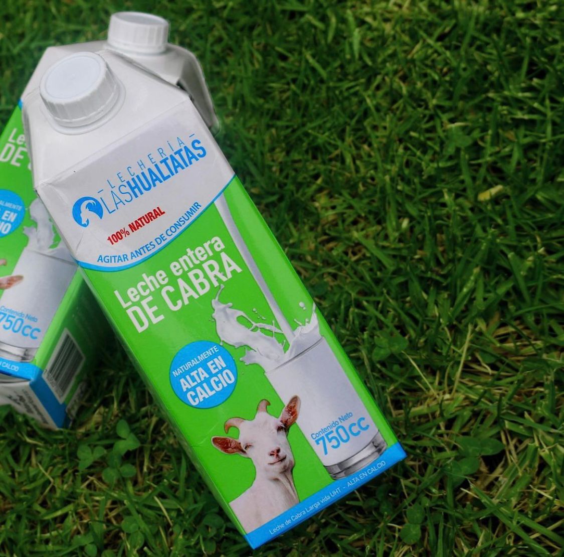 LECHE DE CABRA UHT 1 LT