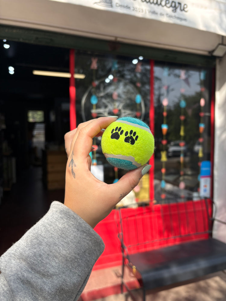 PARA TU PERRITO 🐶 🎾