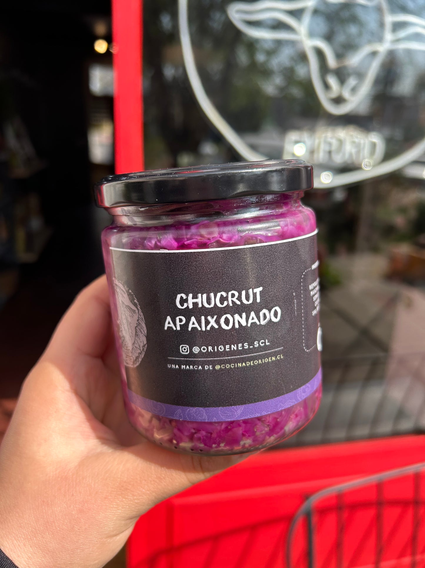 Chucrut morado - Orígenes