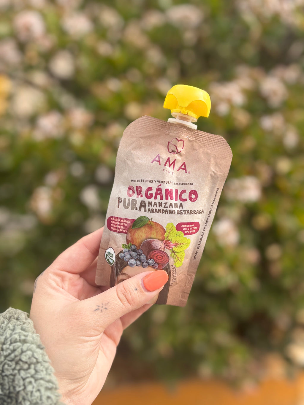 PURÉ DE FRUTA - AMA TIME 🍌🥭🍎🍐🍑🫐🥝🥕