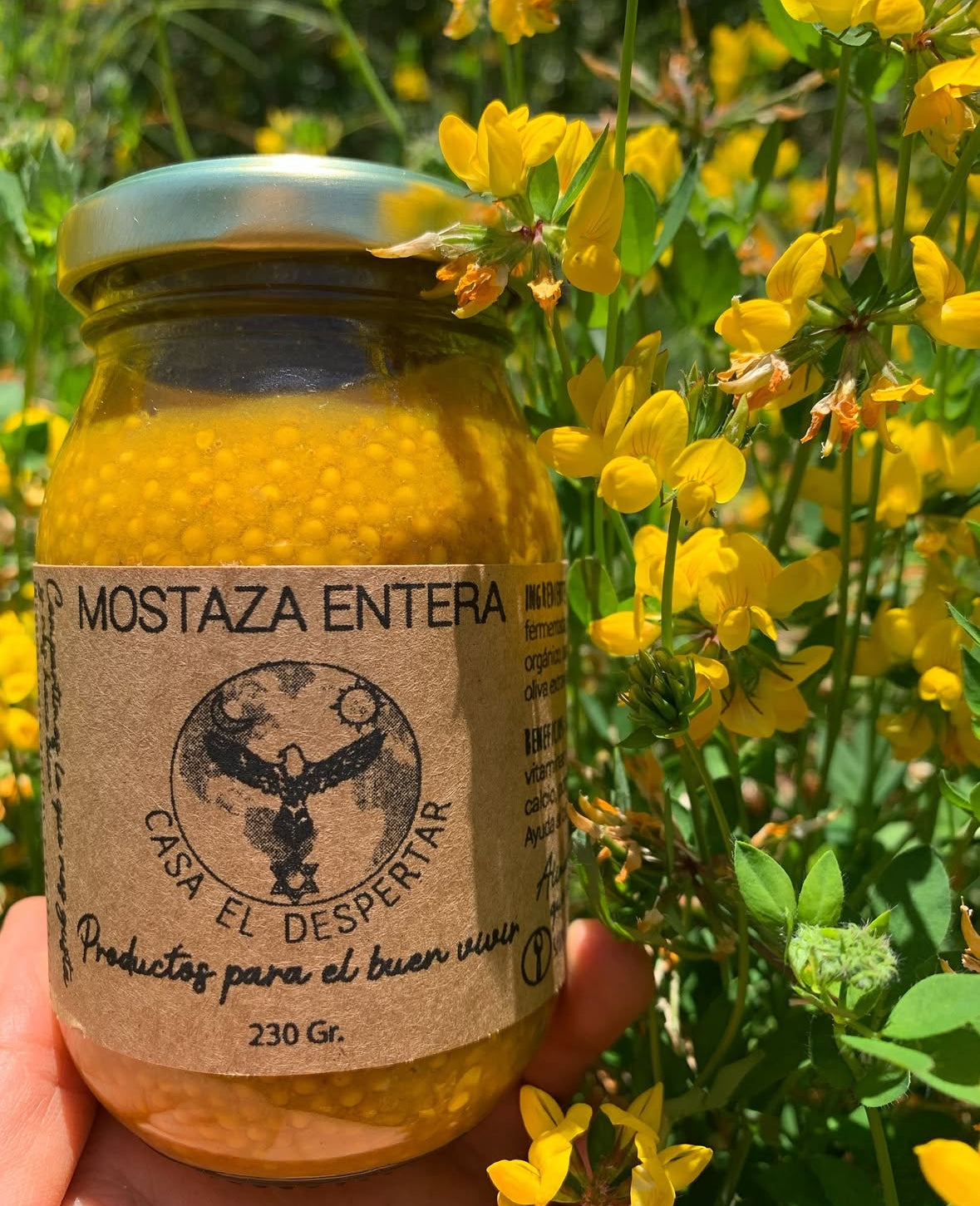 CASA EL DESPERTAR 🌿🏞️