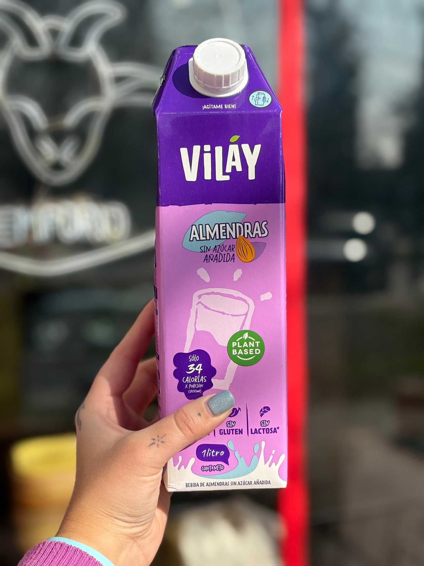 LECHE 🥛🌿 - VILAY