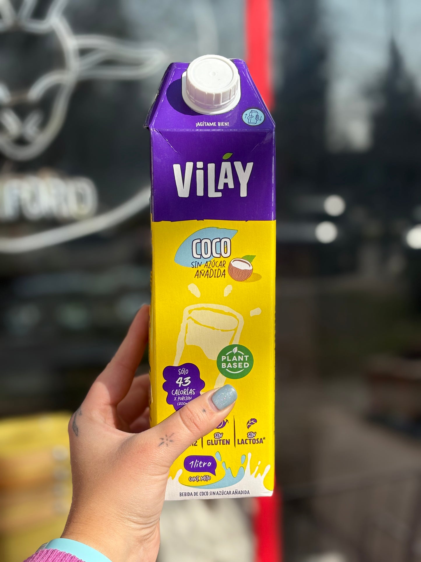 LECHE 🥛🌿 - VILAY