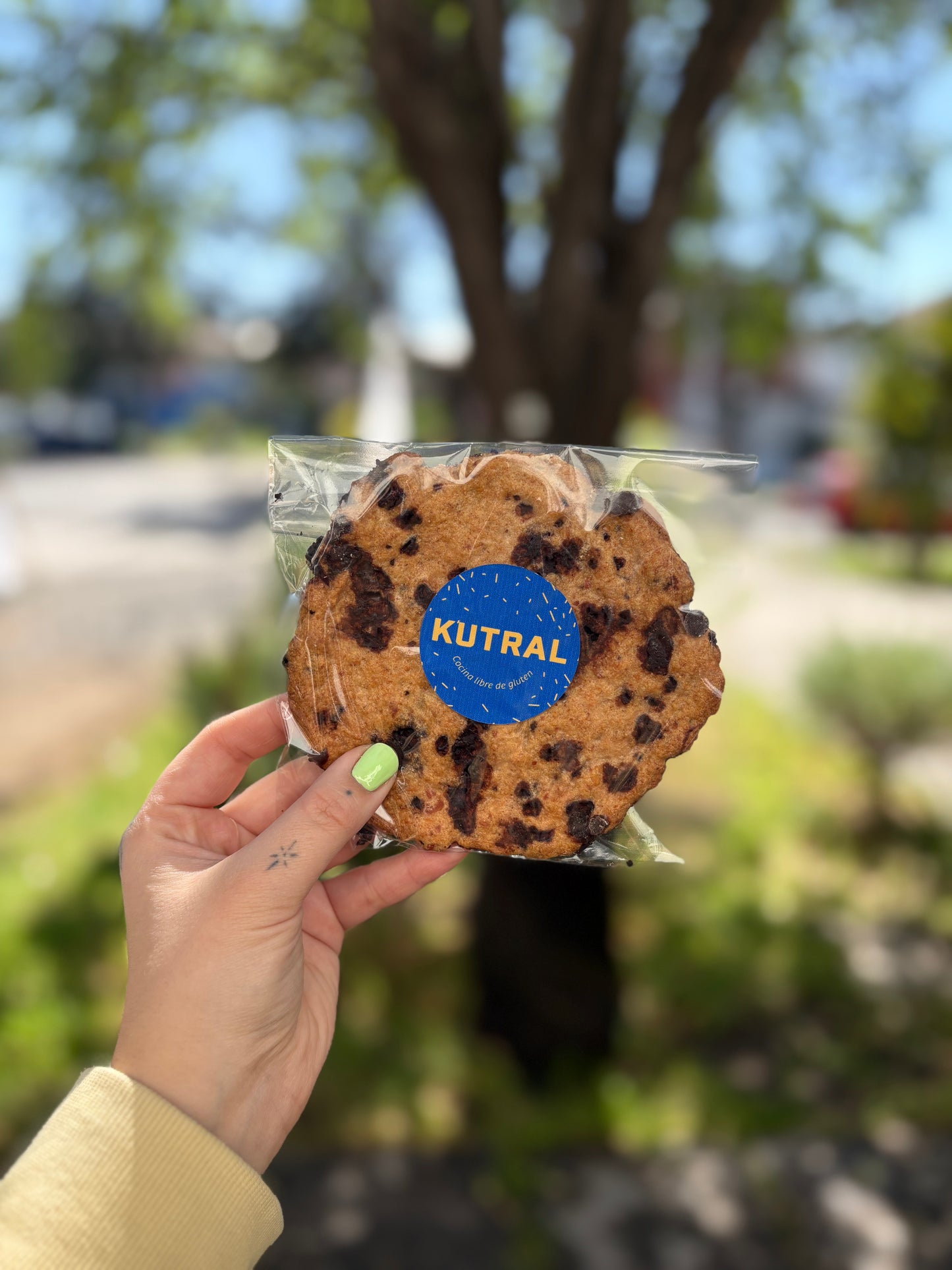 CASA KUTRAL 🏡🌸