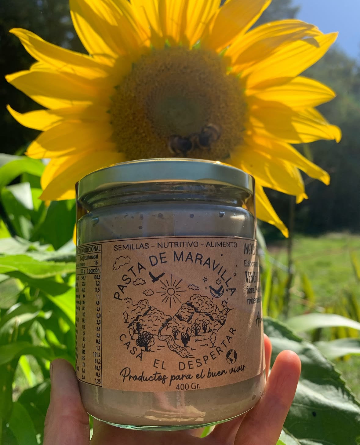 CASA EL DESPERTAR 🌿🏞️