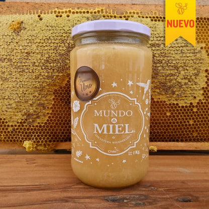 MIEL DE ULMO - MUNDO MIEL 🍯