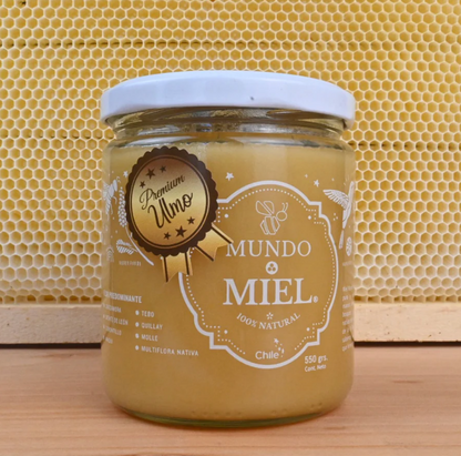 MIEL DE ULMO - MUNDO MIEL 🍯