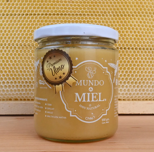 MIEL DE ULMO PREMIUM